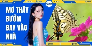 mơ thấy bướm bay vào nhà C168