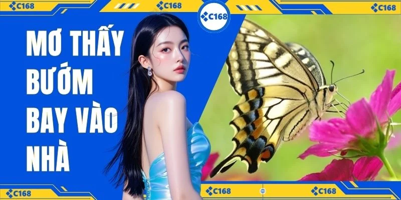 mơ thấy bướm bay vào nhà C168